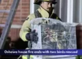 Oshawa house fire ends with two birds rescued Oshawa house fire ends with two birds rescued