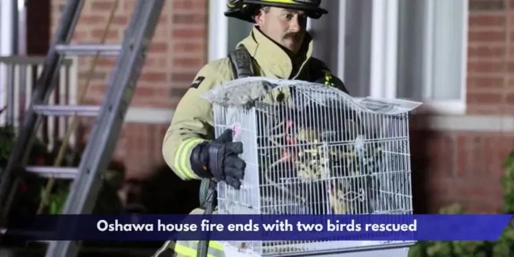 Oshawa house fire ends with two birds rescued