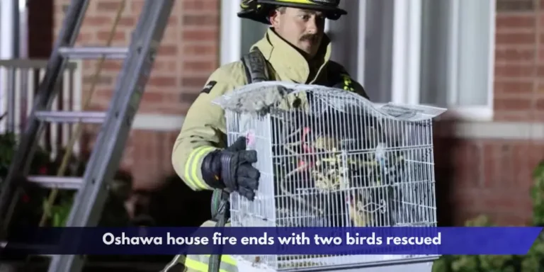 Oshawa house fire ends with two birds rescued