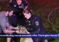 Newcastle dog rescue succeeds after Clarington house fire