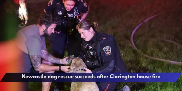 Newcastle dog rescue succeeds after Clarington house fire