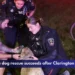 Newcastle dog rescue succeeds after Clarington house fire Newcastle dog rescue succeeds after Clarington house fire