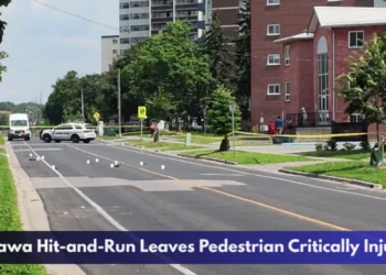 Oshawa Hit-and-Run Leaves Pedestrian Critically Injured Oshawa Hit-and-Run Leaves Pedestrian Critically Injured