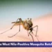 Eight More West Nile-Positive Mosquito Batches Found