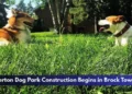 Beaverton Dog Park Construction Begins in Brock Township