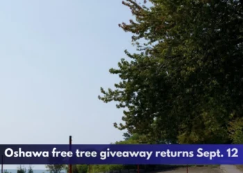 Oshawa free tree giveaway returns Sept. 12