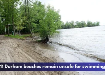 11 Durham beaches remain unsafe for swimming