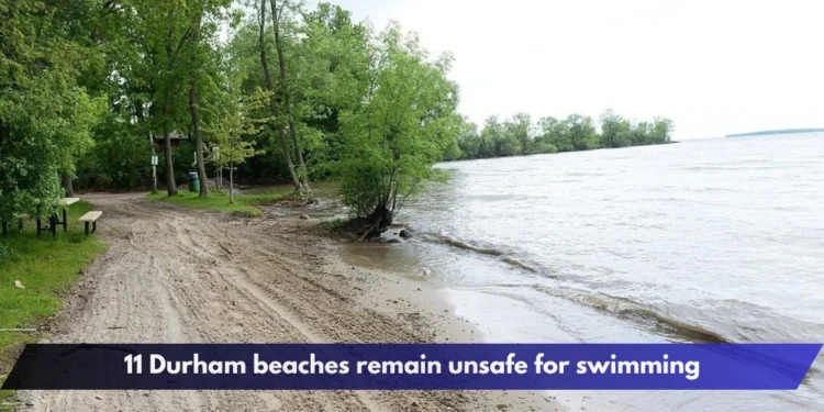 11 Durham beaches remain unsafe for swimming