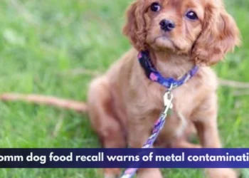 Fromm dog food recall warns of metal contamination