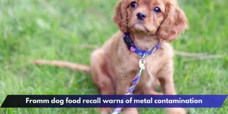 Fromm dog food recall warns of metal contamination