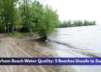 Durham Beach Water Quality: 5 Beaches Unsafe to Swim