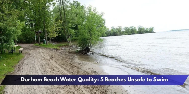 Durham Beach Water Quality: 5 Beaches Unsafe to Swim