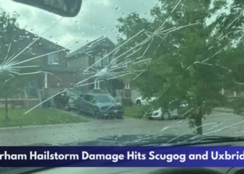 Durham Hailstorm Damage Hits Scugog and Uxbridge