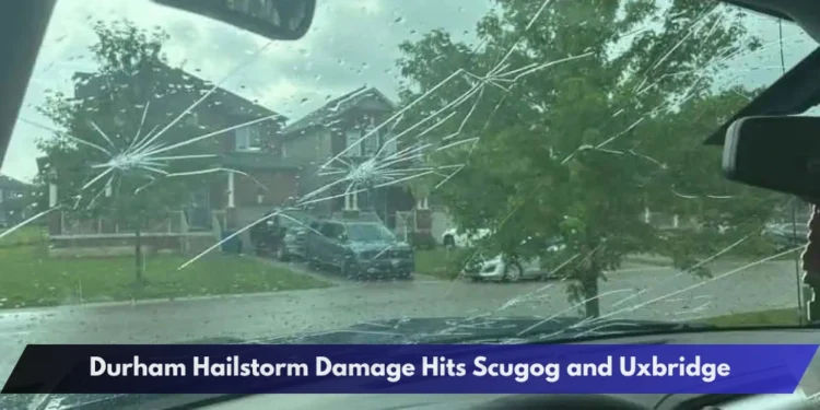 Durham Hailstorm Damage Hits Scugog and Uxbridge Durham Hailstorm Damage Hits Scugog and Uxbridge