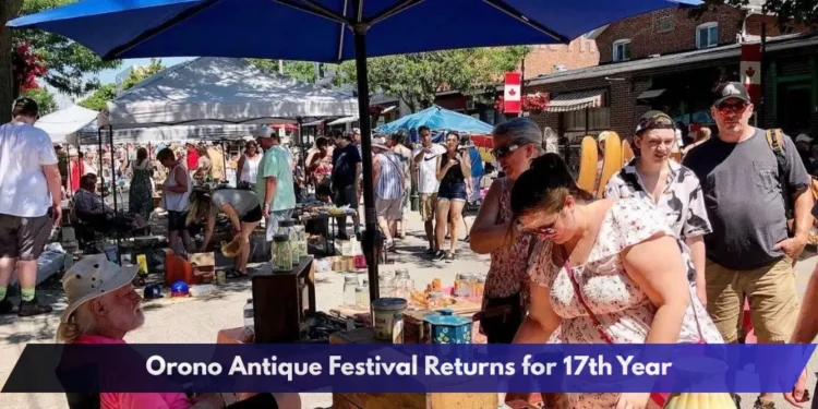 Orono Antique Festival Returns for 17th Year Orono Antique Festival Returns for 17th Year