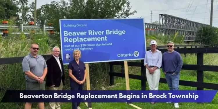 Beaverton Bridge Replacement Begins in Brock Township