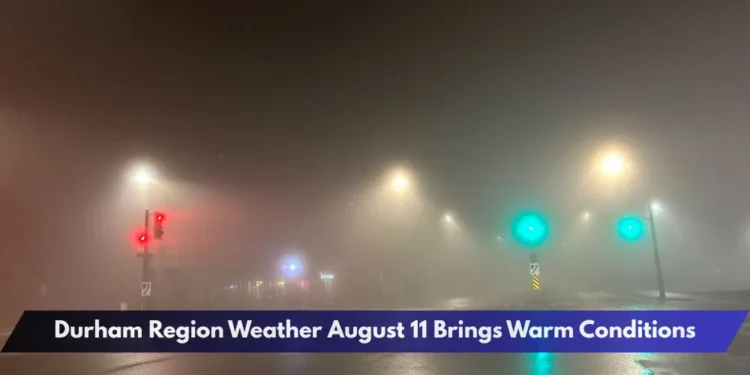 Durham Region Weather August 11 Brings Warm Conditions Durham Region Weather August 11 Brings Warm Conditions