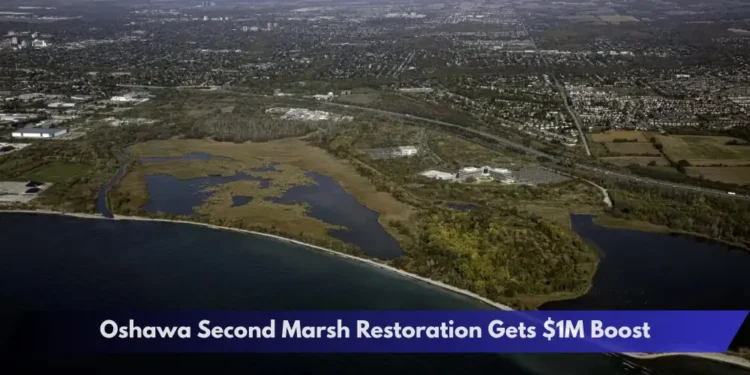 Oshawa Second Marsh Restoration Gets $1M Boost Oshawa Second Marsh Restoration Gets $1M Boost