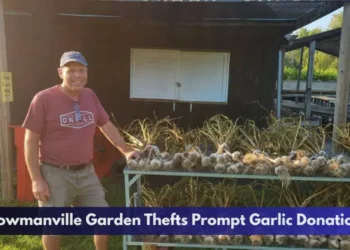 Bowmanville Garden Thefts Prompt Garlic Donation