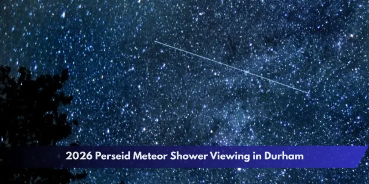 2026 Perseid Meteor Shower Viewing in Durham