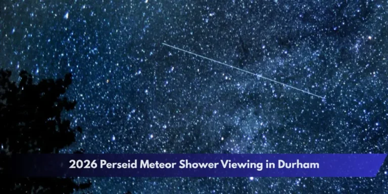 2026 Perseid Meteor Shower Viewing in Durham