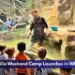 Reptilia Weekend Camp Launches in Whitby