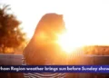 Durham Region weather brings sun before Sunday showers