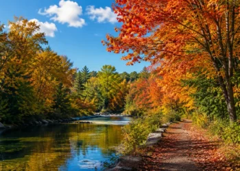 Durham fall colours 2026: What residents can expect