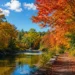 Durham fall colours 2026: What residents can expect Durham fall colours 2026: What residents can expect