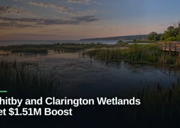 Whitby and Clarington Wetlands Get $1.51M Boost Original editorial featured image for: Whitby and Clarington Wetlands Get $1.51M Boost