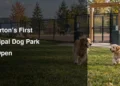 Fenced off-leash areas and dogs illustrating the new Beaverton dog park