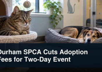 Original editorial featured image for: Durham SPCA Cuts Adoption Fees for Two-Day Event