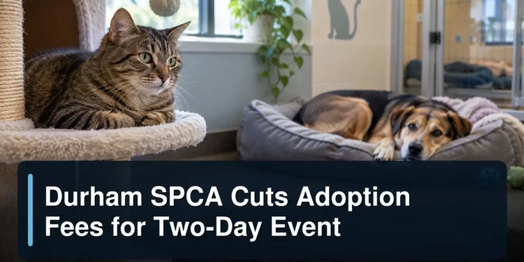 Durham SPCA Cuts Adoption Fees for Two-Day Event Original editorial featured image for: Durham SPCA Cuts Adoption Fees for Two-Day Event