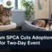 Durham SPCA Cuts Adoption Fees for Two-Day Event Original editorial featured image for: Durham SPCA Cuts Adoption Fees for Two-Day Event
