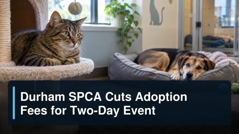 Original editorial featured image for: Durham SPCA Cuts Adoption Fees for Two-Day Event