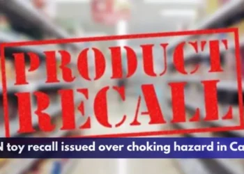 SHEIN toy recall issued over choking hazard in Canada