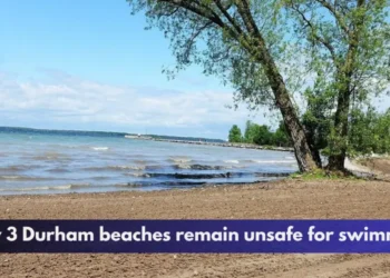 Only 3 Durham beaches remain unsafe for swimming