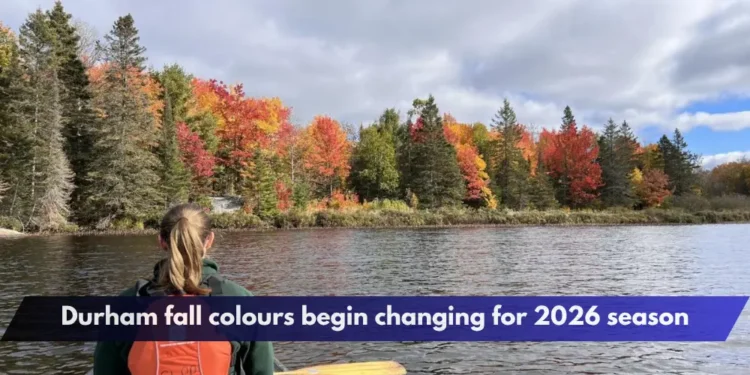 Durham fall colours begin changing for 2026 season Durham fall colours begin changing for 2026 season