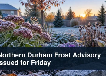 Frost-covered garden with the headline Northern Durham Frost Advisory Issued for Friday