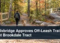 Uxbridge Approves Off-Leash Trail at Brookdale Tract Dog and owner on a woodland trail under preparation with the headline Uxbridge Approves Off-Leash Trail at Brookdale Tract