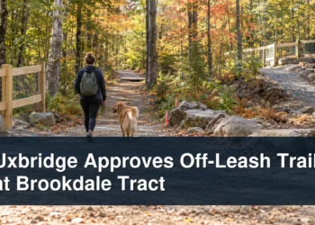 Dog and owner on a woodland trail under preparation with the headline Uxbridge Approves Off-Leash Trail at Brookdale Tract