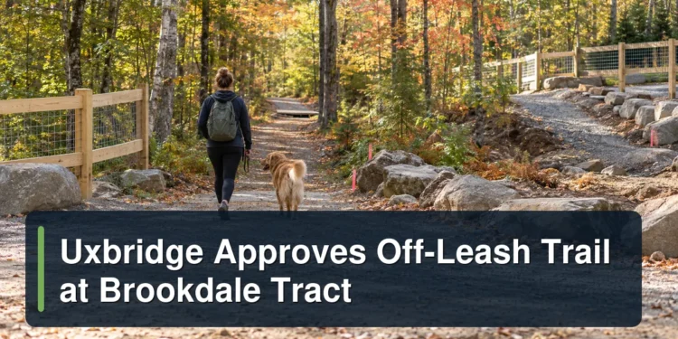 Dog and owner on a woodland trail under preparation with the headline Uxbridge Approves Off-Leash Trail at Brookdale Tract