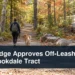 Dog and owner on a woodland trail under preparation with the headline Uxbridge Approves Off-Leash Trail at Brookdale Tract