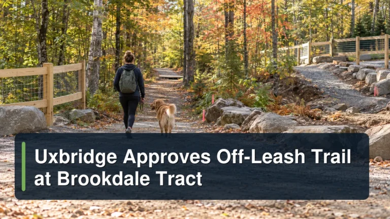 Dog and owner on a woodland trail under preparation with the headline Uxbridge Approves Off-Leash Trail at Brookdale Tract
