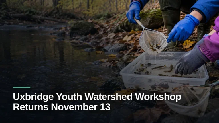 Original editorial featured image for: Uxbridge Youth Watershed Workshop Returns November 13