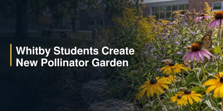 Whitby Students Create New Pollinator Garden