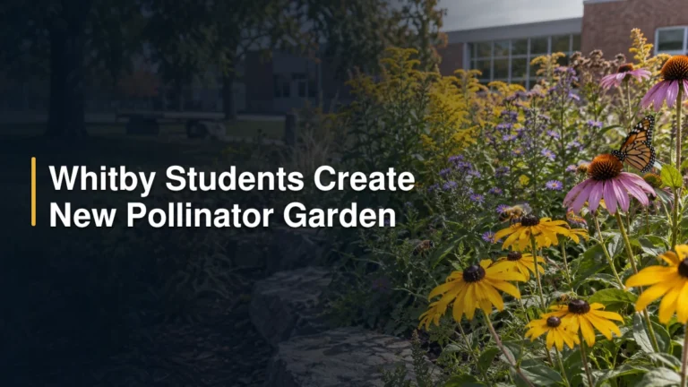 Whitby Students Create New Pollinator Garden Whitby Students Create New Pollinator Garden