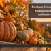 AI editorial illustration: Autumn pumpkin display representing the weekend-events roundup. Headline: Durham Weekend Events Pumpkinville, antiques and more Oct. 16–17. AllAboutDurham.com.