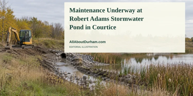 Editorial illustration of an autumn stormwater channel with a parked compact excavator, representing maintenance at Robert Adams pond in Courtice; not a photograph of the actual site.