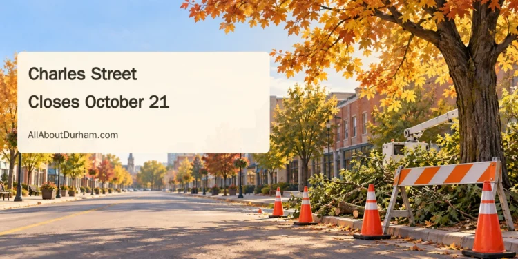 Original conceptual editorial illustration of autumn trees and a road barrier on a generic Ontario street; not a photograph of the Charles Street work.